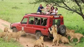 Thumbnail: Safari Trips Went Horribly Wrong