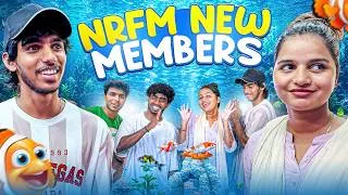 Thumbnail: 🏠வீட்டில் புதிய Members 😍 | Finally வந்தாச்சு 🐠🐟#nrfm #vlog #fish 