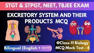 Thumbnail: Excretory System MCQ | STGT/STPGT Biological Science | NEET & AIIMS | Mock Test 4 | 30 Important MCQ