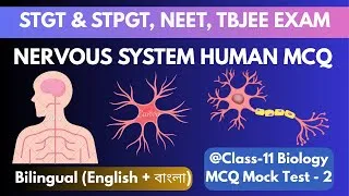 Thumbnail: Human Nervous System MCQ Mock Test 2 | 30 Most Repeated PYQs | NEET • AIIMS • STGT • TBJEE • KVS