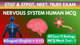 Thumbnail: Human Nervous System MCQ Mock Test 1 | 30 Most Repeated PYQs | NEET • AIIMS • STGT • TBJEE • KVS