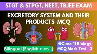 Thumbnail: Excretory System MCQ | STGT/STPGT Biological Science | NEET & AIIMS | Mock Test 3 | 30 Important MCQ