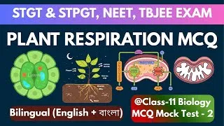 Thumbnail: Plant Respiration MCQ | Glycolysis, TCA Cycle, ETS, Fermentation & RQ | NEET STGT STPGT AIIMS TBJEE