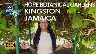 Thumbnail: [4K] You Need to Visit Jamaica and Explore Hope Botanical Gardens with Racquel as Your Tour Guide 🇯🇲