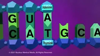 Thumbnail: DNA and RNA - Transcription
