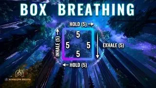 Thumbnail: Music Guided Box Breathing for Anxiety and Stress Release