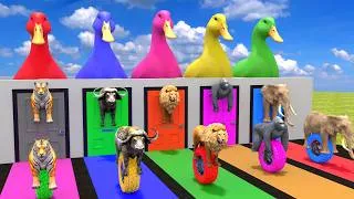 Thumbnail: Long Slide Game With Cow Elephant Gorilla Hippopotamus Tiger - 3d Animal Game - Funny 3d Animals