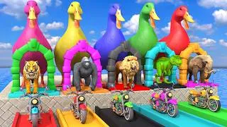 Thumbnail: Long Slide Game With Cow Elephant Gorilla Hippopotamus Tiger - 3d Animal Game - Funny 3d Animals
