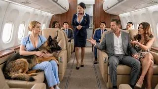 Thumbnail: The Rich Couple Humiliated the Nurse and Her K9—Then Her Secret Military Rank Silenced the Cabin