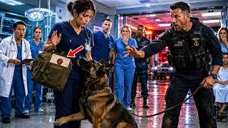 Thumbnail: Don't Touch Him—The SEAL Smirked—K9 Ran Straight To The Quiet Nurse And Would Not Leave Her Side
