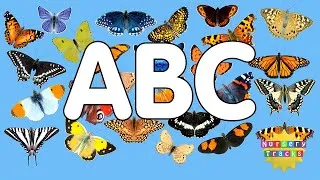 Thumbnail: Butterfly ABC | Alphabet of Butterflies | NurseryTracks