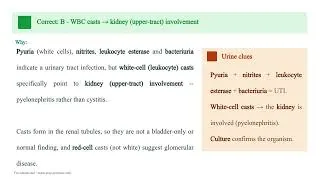 Thumbnail: Pyelonephritis Part 1 (Recognition, Causes, Diagnosis and Nursing Care)