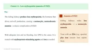 Thumbnail: Chronic Kidney Disease Part 1 (Staging, Causes and Care)