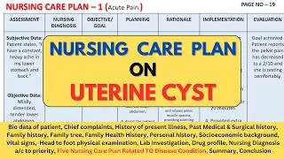 Thumbnail: Nursing Care Plan On Uterine Cyst | NCP on Uterine Cyst | Uterine Cyst Nursing Care Plan