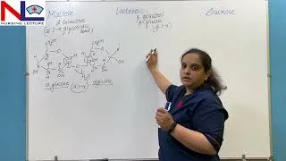 Thumbnail: Disaccharides- Carbohydrates | English | Biochemistry | Nursing Lecture