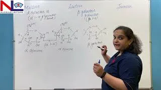 Thumbnail: Disaccharides- Carbohydrates | Hindi | Biochemistry | Nursing Lecture