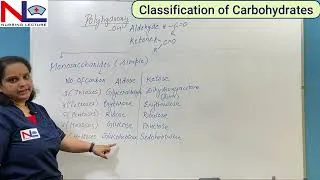 Thumbnail: Monosaccharides- Carbohydrates | Hindi | Biochemistry | Nursing Lecture
