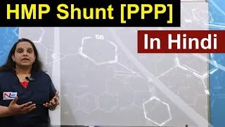 Thumbnail: HMP SHUNT | Hexose Monophosphate Pathway | Pentose Phosphate Pathway (PPP) | Nursing Lecture