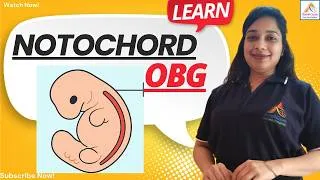 Thumbnail: Notochord Formation || OBG || Reproduction || Nursing || NEET | Biology