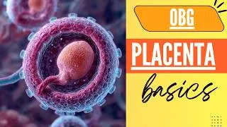 Thumbnail: Placental development | Sources | Umbilical Cord | OBG | Nursing | NEET | Medical || Explained