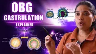 Thumbnail: Gastrulation | OBG | reproduction | Biology | Nursing || NEET || Explained || Medical
