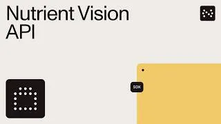 Thumbnail: Vision API – Accurate data extraction for PDFs, forms, and scans