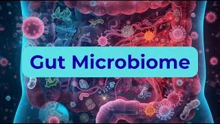 Thumbnail: How to Heal Your Gut Microbiome: The Ultimate Guide to Immunity & Energy