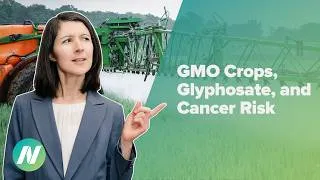 Thumbnail: Are Consumers of GMO Crops Exposed to Enough Glyphosate to Increase Cancer Risk?
