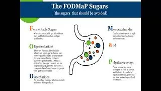 Thumbnail: IBS & IBD || Nutri-Vention Session Series