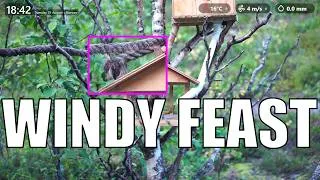 Thumbnail: A Serene Sanctuary in the Swaying Birchwood