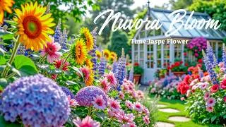 Thumbnail: 🌷 Beautiful Flowers Time-Lapse 4K | Endless Blooms & Relaxing Piano Music for Stress Relief