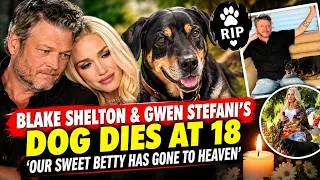 Thumbnail: Blake Shelton and Gwen Stefani’s Dog Dies at 18: ‘Our Sweet Betty Has Gone to Heaven’