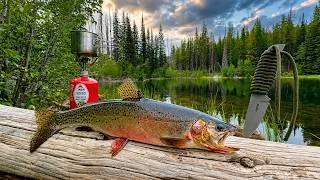 Thumbnail: SOLO Hiking & Mountain Trout Fishing!! (Catch & Cook Movie)