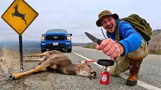 Thumbnail: ROADKILL Deer Catch & Cook!!! (Full Process...)