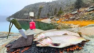Thumbnail: Fishing for Big Trout ALONE in the Rain!! (Catch & Cook)
