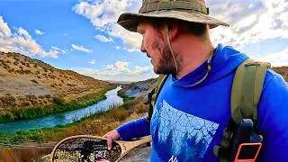 Thumbnail: Trout Fishing a REMOTE Desert Creek!!!
