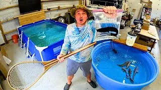 Thumbnail: I built a Fish Farm on my Homestead!!!