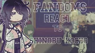 Thumbnail: (FILLER EP)FANDOMS react to SHINOBU KOCHO//WIP// 2/3//GL2//⚠️ WARNING: lights,blood,loud music!!