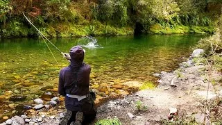 Thumbnail: Worth Walking - From Empty Rivers to Dry Fly Madness | NZ Fly Fishing