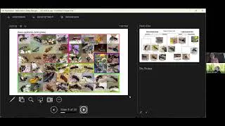 Thumbnail: Native Bees of Oatley Park. Nikki Leung. 20 July 2026.