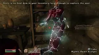 Thumbnail: No edit. Just one of my favorite quirks of classic Oblivion: 100% Chameleon