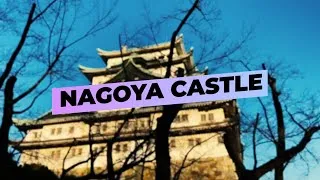 Thumbnail: Nagoya Castle by Obsessed with Japan