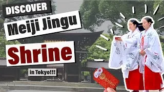 Thumbnail: Visit FAMOUS Meiji Jingu Shrine in Tokyo ft. TRADITIONAL Japanese Wedding | Discover Japan