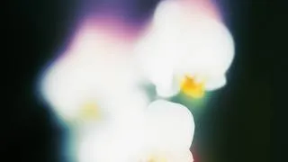 Thumbnail: Ivory (IT) - Bringing Me Joy