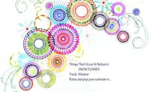 Thumbnail: Song Window from Things That Occur In Nature