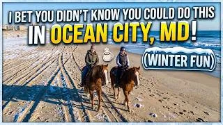 Thumbnail: I Bet You Didn’t Know You Could Do THIS in Ocean City, MD! 🐴✨