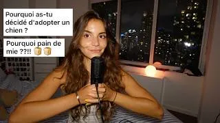 Thumbnail: Pourquoi adopter un chien? (FAQ!)