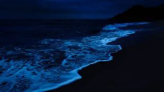 Thumbnail: Ocean Sounds For Sleeping | Night Beach Waves For Insomnia Relief, Emotional Healing