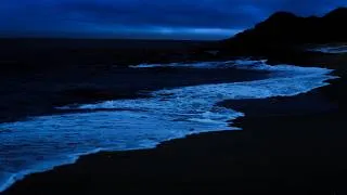 Thumbnail: Ocean Waves for Deep Sleep | Dark Night Waves for Insomnia, Relaxation & Stress Relief