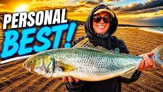 Thumbnail: The Biggest Salmon I’ve Ever Caught 🎣  + | Tailor Catch & Cook